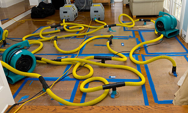 Professional Storm Water Damage Restoration technician working in Wildwood, MO